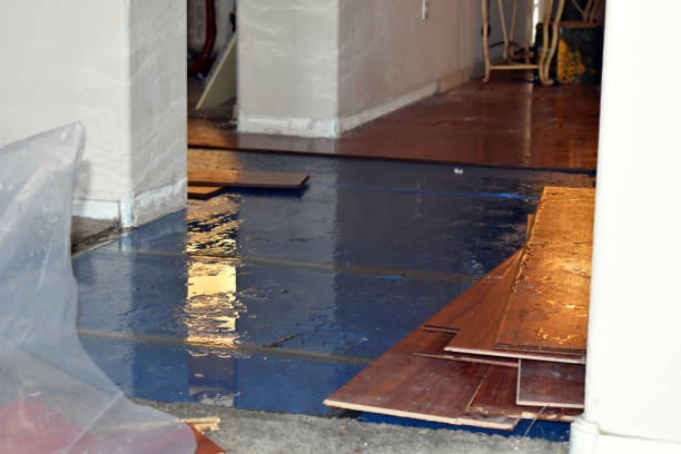 Professional Water Damage Restoration technician working in Williamsburg, FL